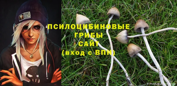 MESCALINE Горняк