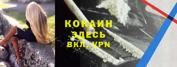 MESCALINE Горняк
