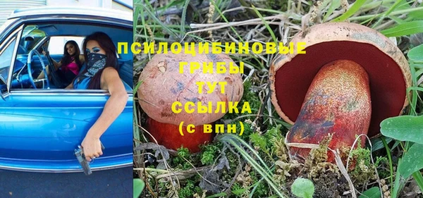 MESCALINE Горняк